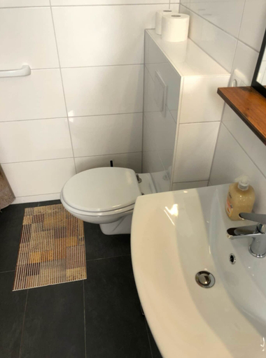Bathroom 5, Appartement mit Dachterrasse, Monkebude, Vorpommern-Greifswald