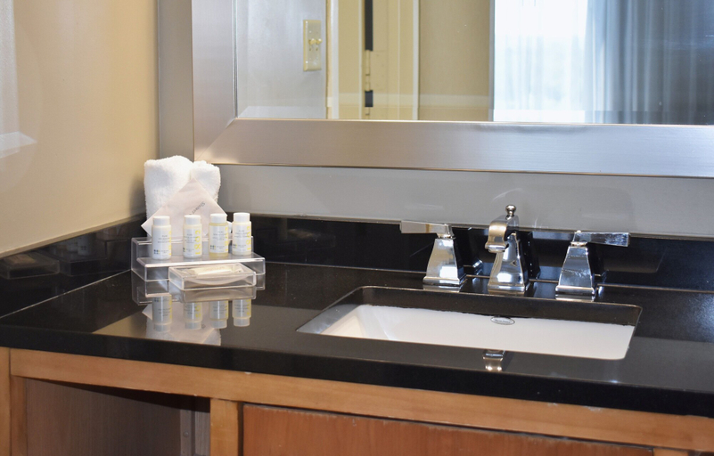 Bathroom 4, Hyatt Regency Lisle near Naperville, Dupage