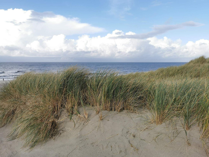 Others 4, Cozy Holiday Home in Henne near Sea, Varde