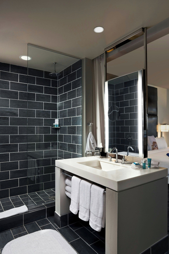 Bathroom 5, W Dallas, Dallas