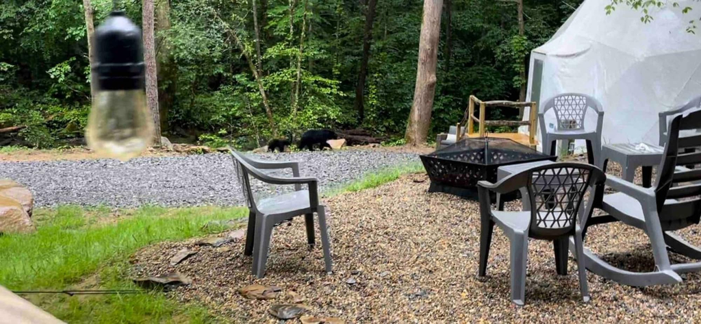 Room 5, The Perch Glamping by Rafting, Cocke