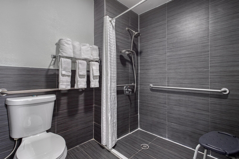 Bathroom 4, Best Western Webster Hotel, NASA, Houston