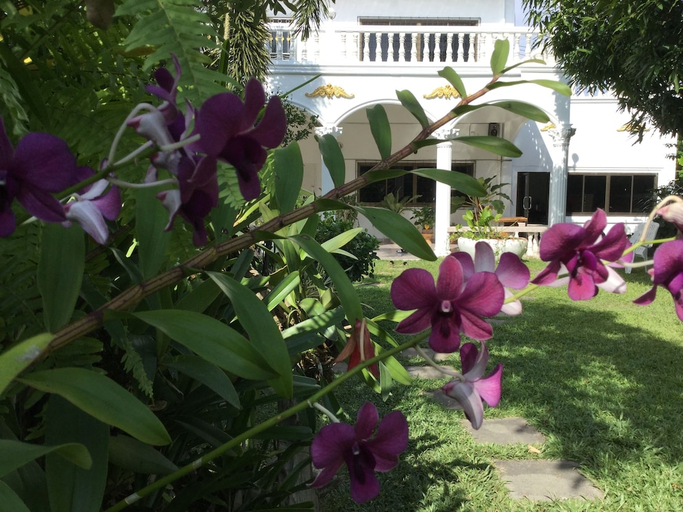 Exterior & Views 1, White Elephant Resort, Muang Surin