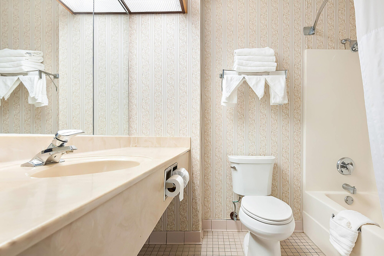 Bathroom 4, Comfort Suites New Orleans East, Orleans