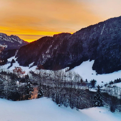 Room 3, Heidi Chalet Alps - Unique Experience - Authentic Part, Pays-d'Enhaut