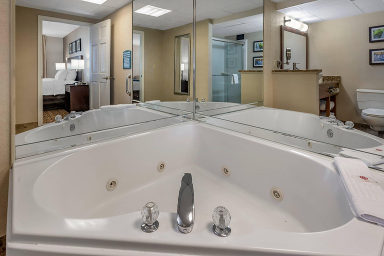 Bathroom 4, Comfort Inn & Suites Glen Mills - West Chester, Delaware