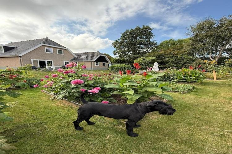 Others 4, Groet Villa Stay with Garden Views, Bergen