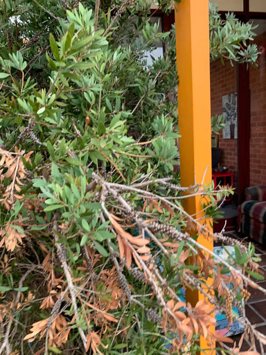 Room 2, Chadstone Holiday W6 Villa, Melbourne