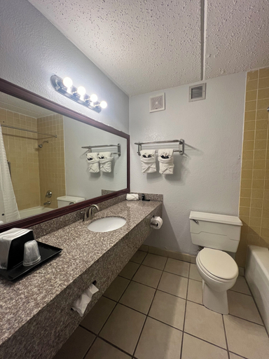 Bathroom 5, The Grand Hotel Spindletop, Jefferson