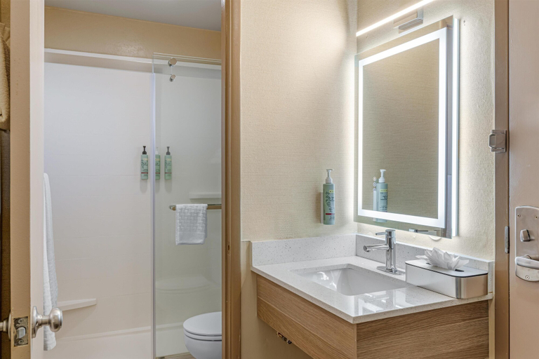 Bathroom 5, Best Western Frontier Motel, Inyo