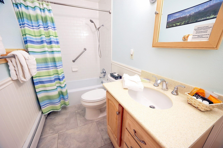 Bathroom, Fawn Valley Inn: 235 1 Bedroom Condo, Larimer