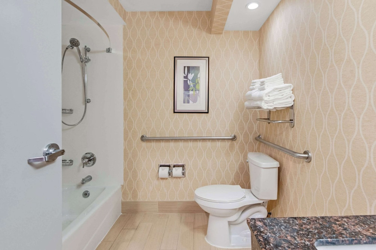 Bathroom 3, Comfort Suites Chesapeake - Norfolk, Chesapeake