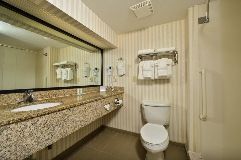 Bathroom 5, Comfort Suites Tamarac Sawgrass, Broward