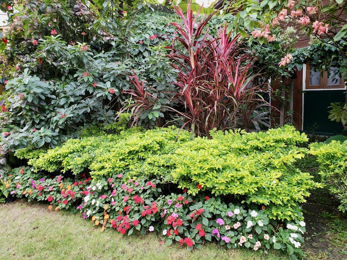 Others 4, Siriwan House, Muang Chiang Mai