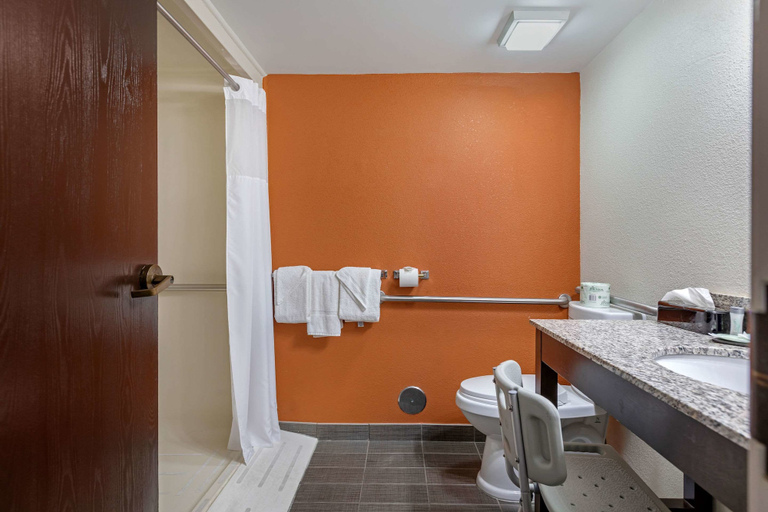 Bathroom 4, Sleep Inn DeWitt, Clinton