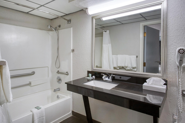 Bathroom 4, Best Western Executive Inn, Grady
