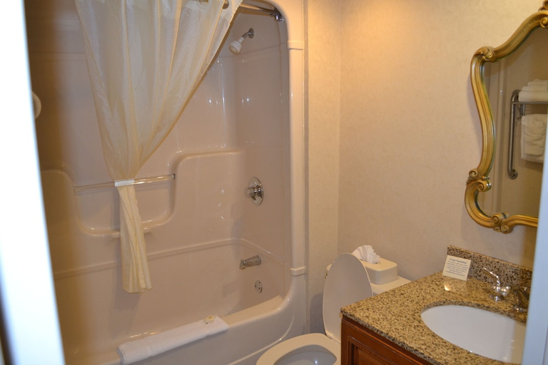 Bathroom 4, Quality Inn Ithaca - University Area, Tompkins