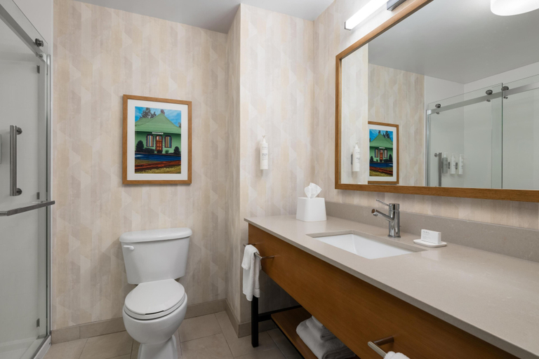 Bathroom 4, Hampton Inn & Suites Southern Pines-Pinehurst, Moore