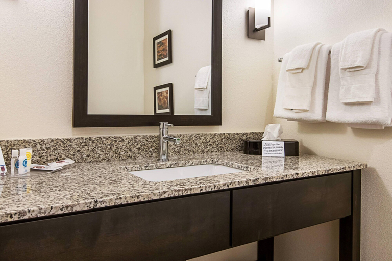 Bathroom 4, Comfort Suites Wooster near University Campus, Wayne