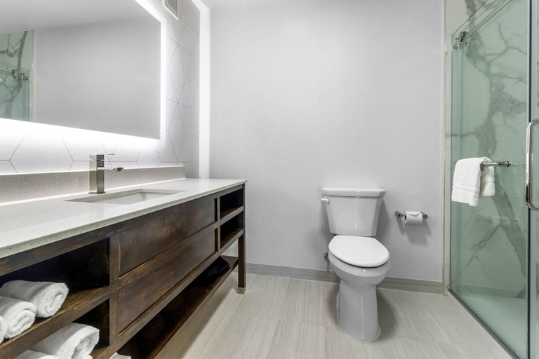 Bathroom 4, Comfort Suites Mount Vernon, Jefferson