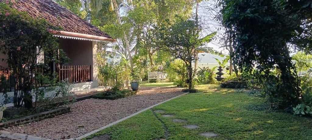 Garden, John's Homestay, Habaraduwa