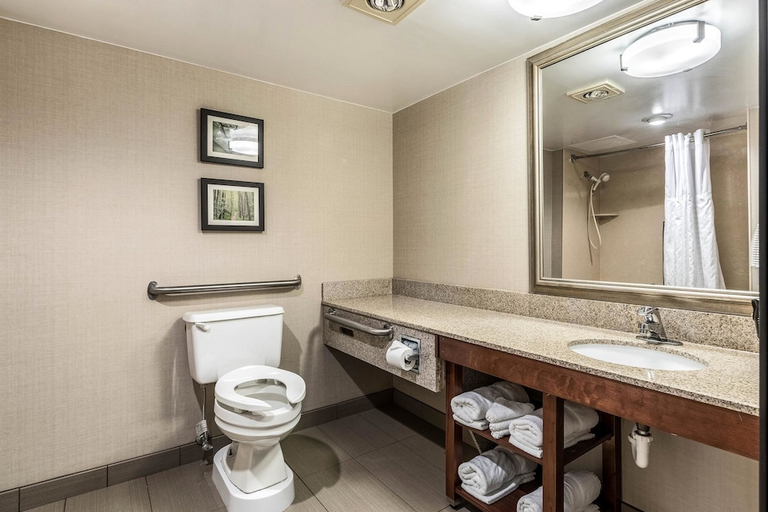 Bathroom 4, Comfort Inn Lansing West, Eaton