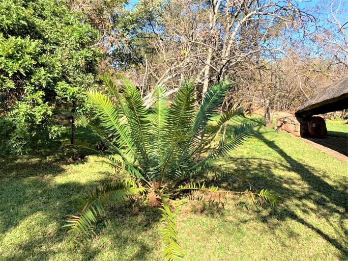 Others 3, Family Lodge in Natural African Bush - 2113, Bulawayo