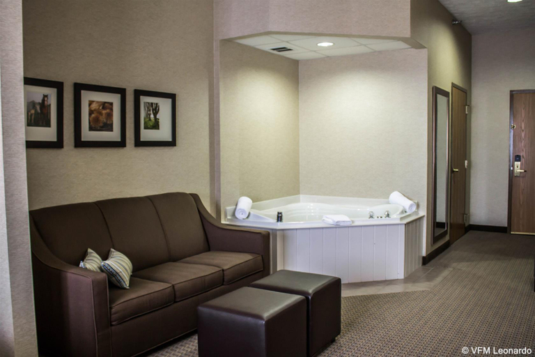 Bathroom 5, Comfort Suites Hotel and Conference Center, Holmes
