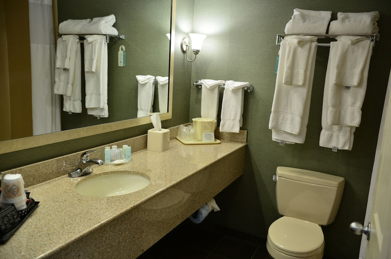 Bathroom 5, Spark by Hilton Lake George Outlets, Warren