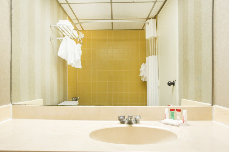 Bathroom 3, Augusta Downtown Hotel & Conference Center, Richmond