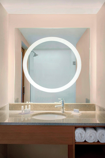 Bathroom 3, SpringHill Suites by Marriott Long Island Brookhaven, Suffolk