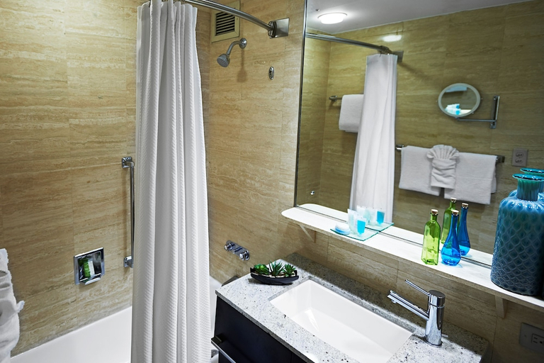 Bathroom, Miami International Airport Hotel, Miami-Dade