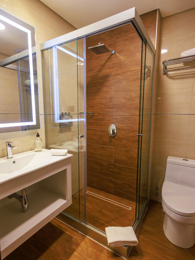 Bathroom 4, Hotel Rennova, Pedro Domingo Murillo