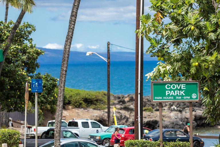 Property grounds 3, Island Surf 308 1 Bedroom Condo, Maui