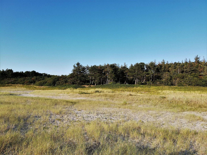 Others 4, 5 Star Holiday Home in Ebeltoft, Syddjurs