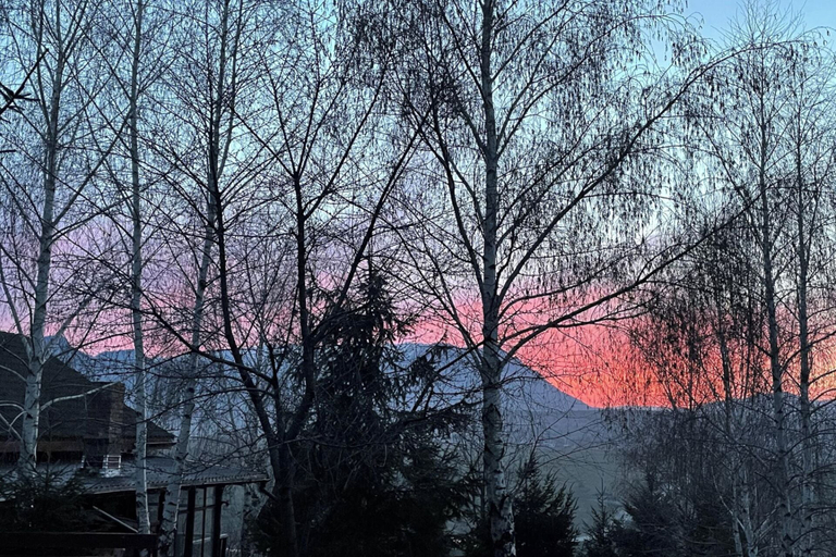 Miscellaneous 5, Stunning 4-bed Chalet in Bran With Superb Panorama, Bran