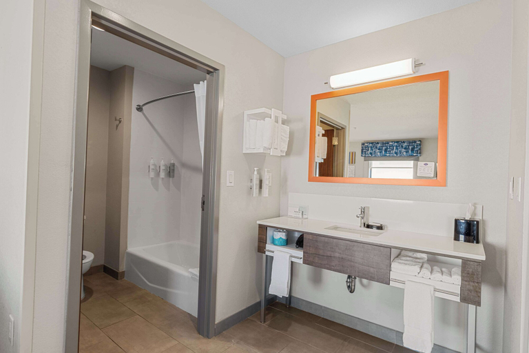 Bathroom 4, Hampton Inn & Suites Selma-San Antonio-Randolph AFB Texas, Bexar