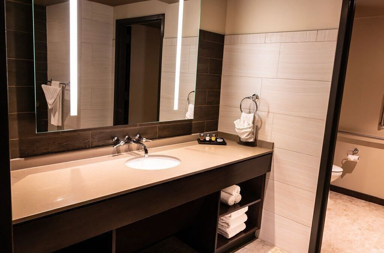 Bathroom 4, Cherokee Casino & Hotel Roland, Sequoyah