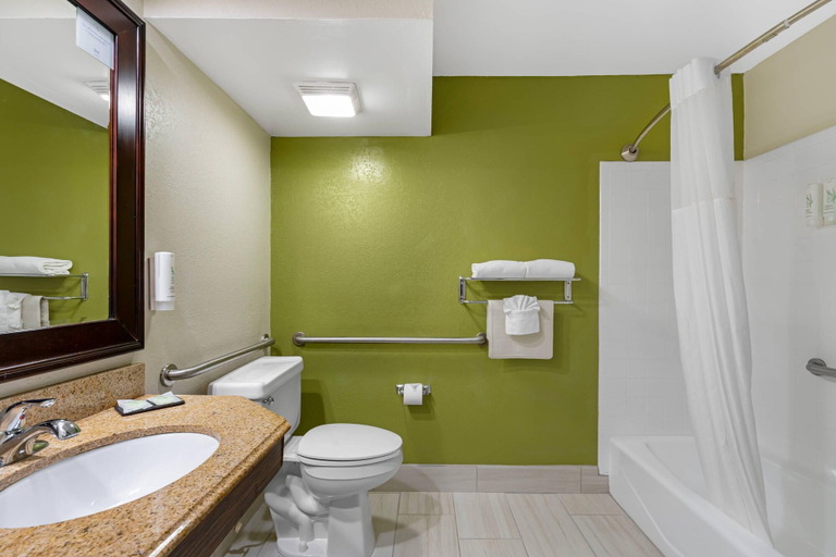 Bathroom 4, Sleep Inn near Busch Gardens/USF, Hillsborough