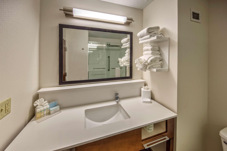 Bathroom 2, Hampton Inn Memphis/Southaven, Desoto