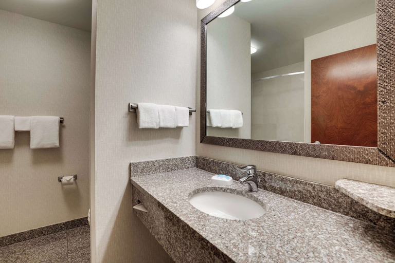 Bathroom 5, Drury Inn & Suites Charlotte Northlake, Mecklenburg