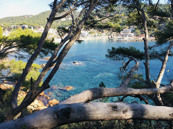 3, Apartment in Llafranc near Serene Beach, Girona