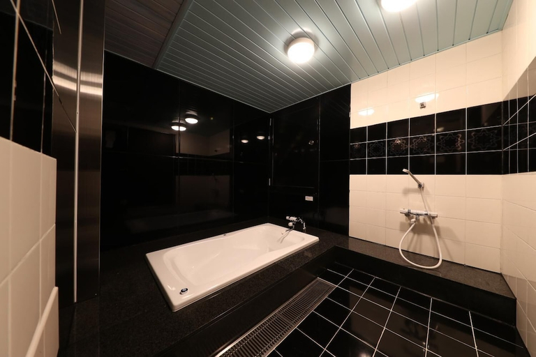 Bathroom 3, Hotel Fine Shiga Ritto, Rittō