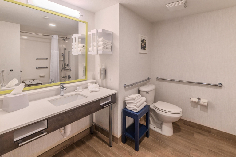 Bathroom 4, Hampton Inn Jasper, Walker
