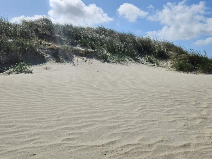Others 3, 5 Star Holiday Home in Fano, Fanø