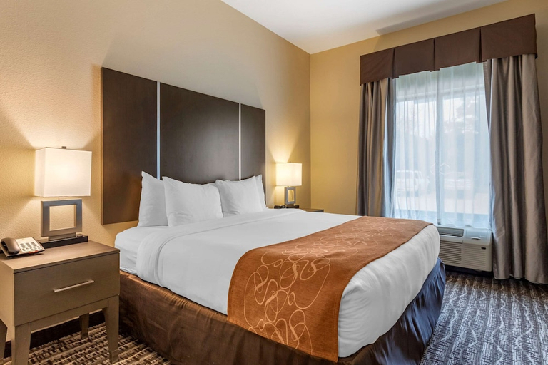 Others 4, Comfort Suites Near Sam Houston Race Park, Houston
