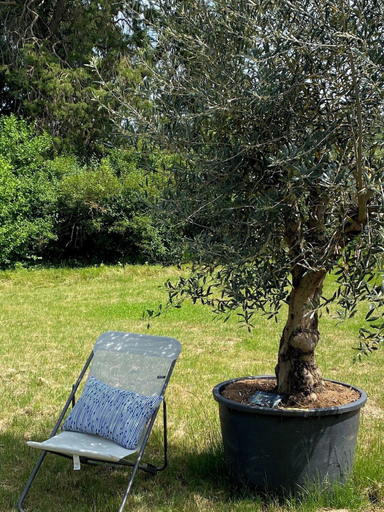 Exterior 5, Le Clos 1003, Ain