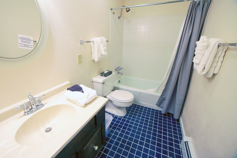 Bathroom 3, Fawn Valley Inn: 298 1 Bedroom Condo, Larimer