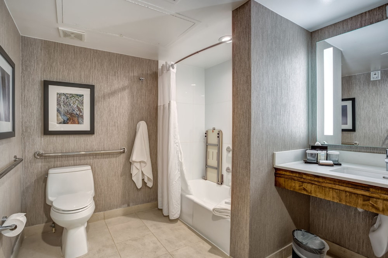Bathroom 3, Embassy Suites by Hilton Orlando International Dr Conv Ctr, Orange