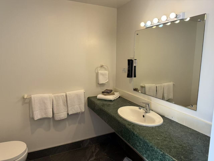 Bathroom 4, Wallaceville House Motor Lodge, Upper Hutt